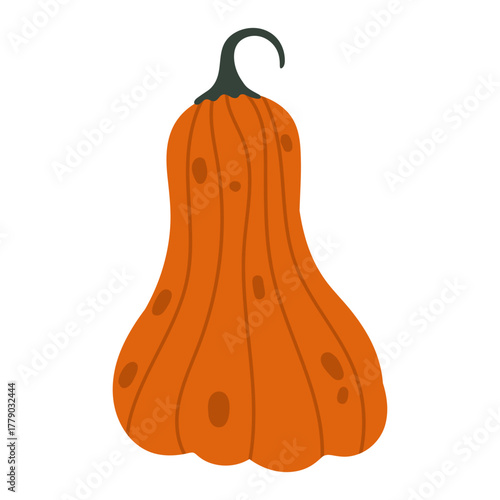 Gourd Vegetable Icon