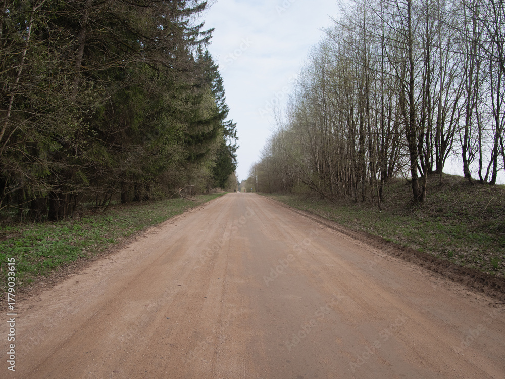 Fototapeta premium tranquil rural route with muted spring hues, peaceful country road featuring bare branches and soft earth tones