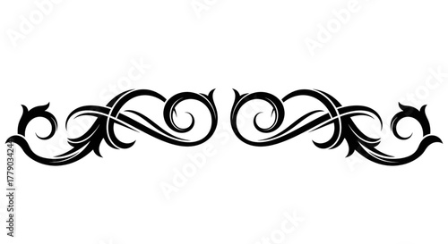 Ornamental Swirl Flourish – Elegant Black Vector Design