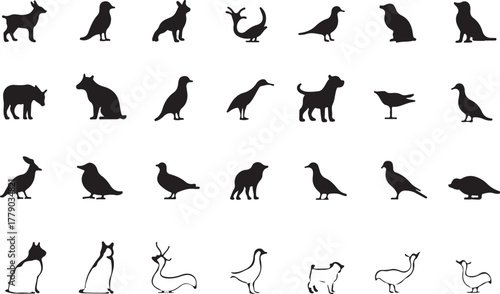 Vector set of black flying bird silhouettes, wild animal and fish illustrations