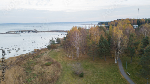 aero view to coastline
