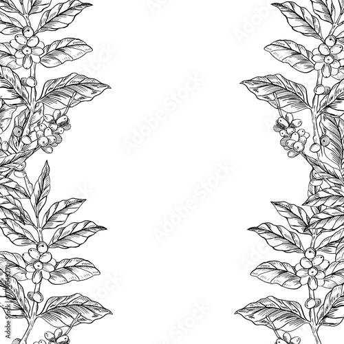 A square frame of coffee branches. Realistic vector illustration for cafe design, menus, interiors, price tags, packaging, signs, posters, and postcards.