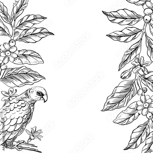 A square frame with a parrot and coffee branches. Realistic vector illustration for cafe design, menus, interiors, price tags, packaging, signs, posters, and postcards.