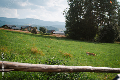 Vorohta Carpathian Mountains Landscape with Historic Viaduct and Traditional Wooden Architecture