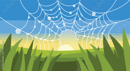 A web in nature, dew drops