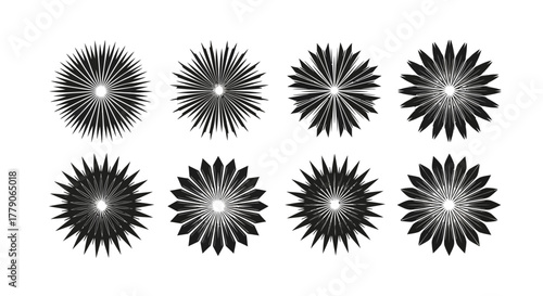 A striking collection of eight vector floral elements in dynamic radial designs for diverse