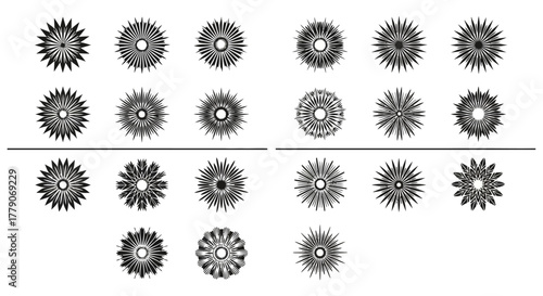 Collection of decorative starburst elements in abstract black and white style offering design