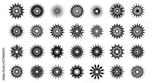 Diverse Collection of Hand Drawn Black Floral Starburst Elements on a White Background