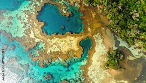Aerial View Of Turquoise Coral Reefs And Lush Green Island Vegetation With Clear Blue Ocean Water Sunlight Dappling The Underwater Landscape