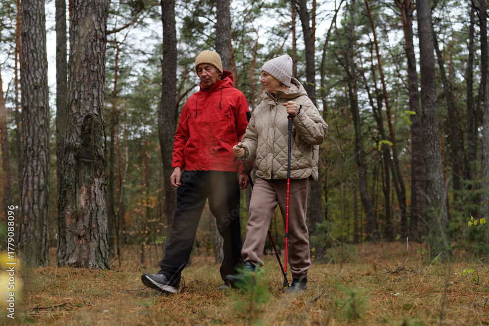 Fototapeta premium Two older adults walk together in a serene forest, dressed warmly for the chilly weather, as they explore nature on a quiet autumn day