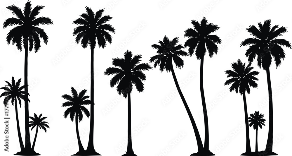 Fototapeta premium Palm tree silhouette collection, tropical beach vector set, exotic island design, summer holiday artwork,