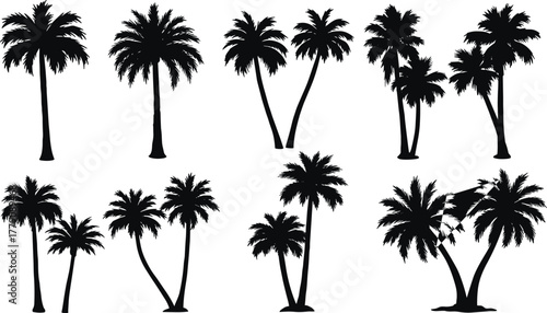 Palm tree silhouette collection, tropical beach vector set, exotic island design, summer holiday artwork, coastal paradise illustration, cad drawing flat vector illustration
