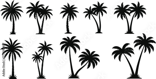 Palm tree silhouette set, tropical beach vector collection, exotic island design, summer holiday illustration, coastal paradise art, cad drawing flat vector illustration
