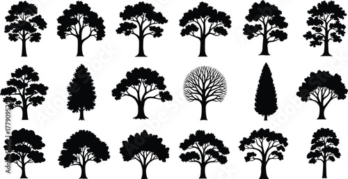 Tree silhouette collection, diverse forest nature illustration, woodland landscape elements, broadleaf and conifer trees, cad drawing flat vector illustration