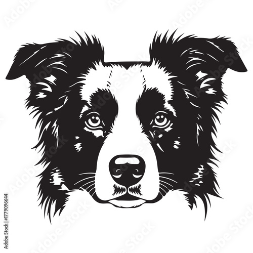 Stylized Black and White Dog Face Illustration