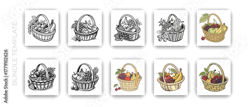 Fruit Basket Illustration Set