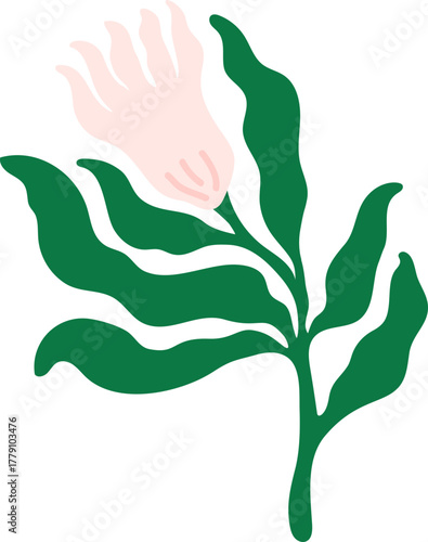 abstract tulip flower