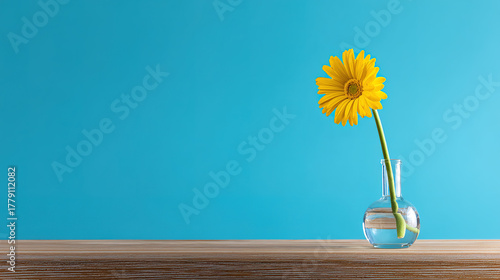 Wallpaper Mural gerbera. Single yellow gerbera in a simple glass vase against a bright blue backdrop with morning light. gardening catalogs, home-decor guides, designed for gardening and botanical catalogs.
 Torontodigital.ca