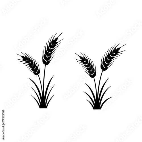 Wheat plant silhouettes illustrating agriculture and harvest, symbolizing natural growth and organic farming concepts