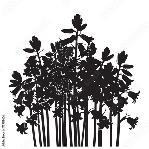 Black Floral Silhouette of Bell-Shaped Wildflowers