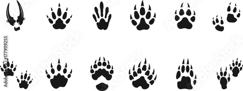 Animal footprints appear as black paw print silhouettes isolated on a white background, depicting various wildlife tracks for use in zoology or hunting themed designs.