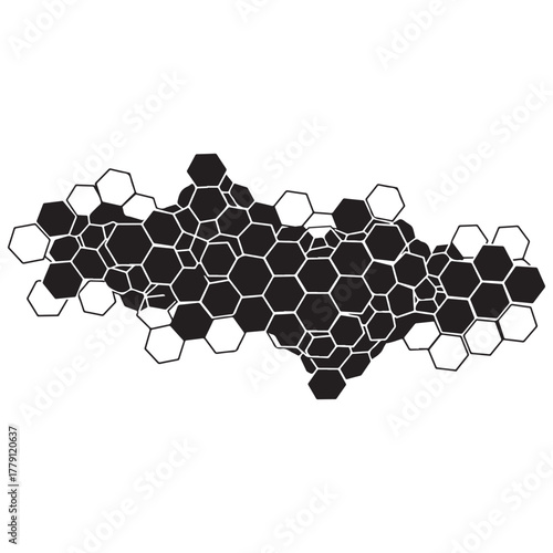 Abstract Hexagonal Pattern with Interconnected Black and White Shapes