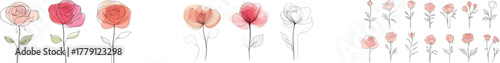 The modern illustration of a rose flower, featuring a floral and botanical garden theme, is presented in a minimalist continuous line drawing as a single hand-drawn set of element collections