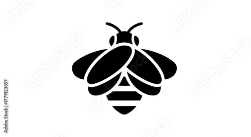 Black and white bee illustration simple vector design isolated on white