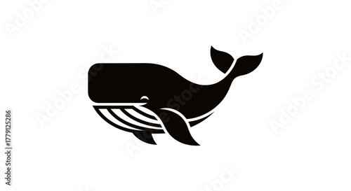 Black and white whale silhouette on a clean white background for design