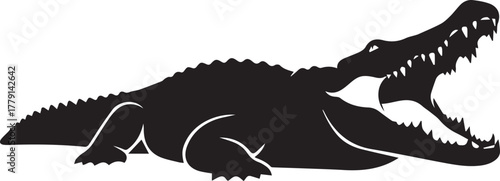 Silhouetted alligator in aggressive pose showing sharp teeth wide open mouth powerful reptile