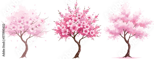 Beautiful cherry blossom trees in pink bloom, Japanese sakura floral art illustration, spring nature scene, delicate seasonal garden design