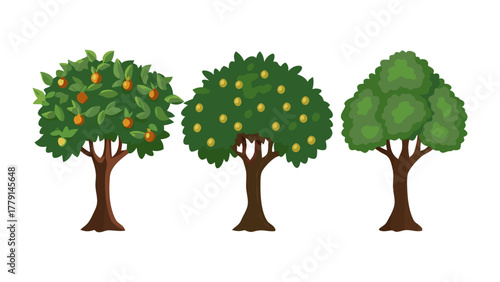 Orchard Variety: Three lush trees stand in vibrant display, each bearing bountiful fruit. A visual ode to nature's abundance. 