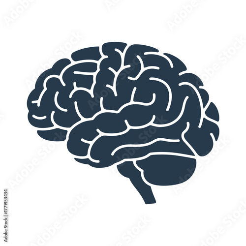 Clean vector illustration of a human brain scalable for medical and science graphics vector