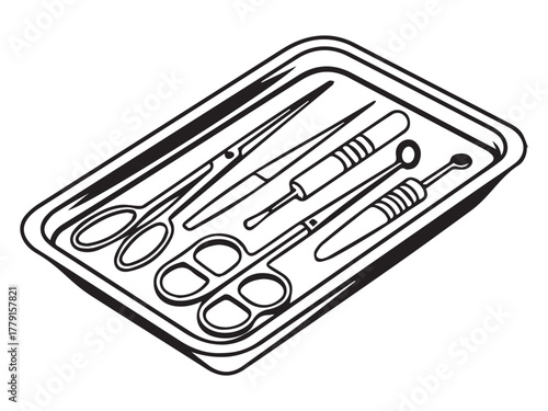 Sterile Surgical Instrument Tray