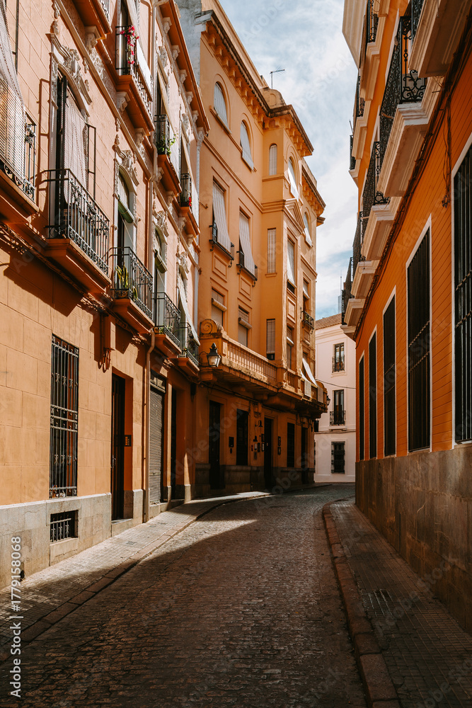 Fototapeta premium Traditional architecture lining a narrow cobblestone street in the old city of Cordoba, Andalucia, Spain, catching sunlight and shadow