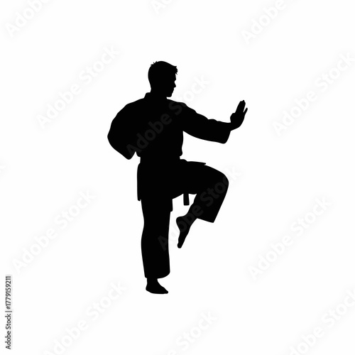 Karate or Martial Arts Stance Silhouette