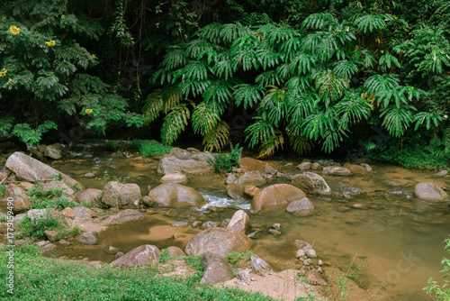 Waterfall, Chiang Rai, Thailand