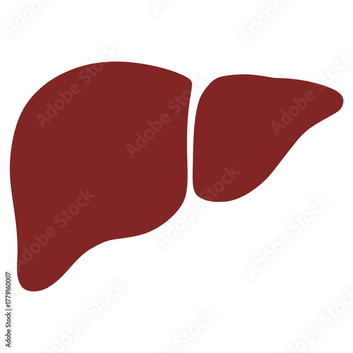 Clean vector illustration of a human liver scalable eps icon for medical graphics vector