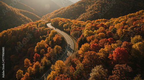 Golden Autumn Road – Warm Sunset Forest Background