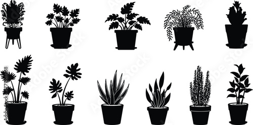 Set of indoor plant silhouettes in pots, decorative houseplant vector icons, botanical design elements for home and garden decor