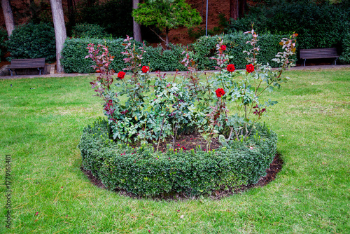 Beautiful round flowerbed with flowers on a clear sunny day. Flora is the nature of a plant.