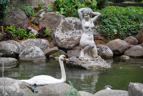A white swan swims along a stream against the background of a statue of a girl on a clear sunny day. Vegetation, nature, plants, landscape of parks.