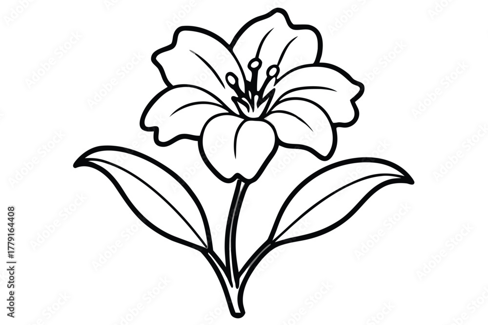 Obraz premium Black and white line drawing of a lily flower with leaves