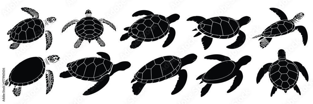 Fototapeta premium Diverse black silhouette illustrations of sea turtles in various poses vector graphics eps vector