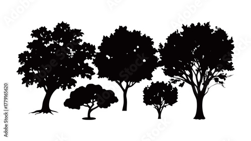 Silhouette of trees: A captivating silhouette of assorted trees against the background, demonstrating natural beauty and diversity of woodland plants.