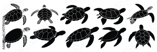 Diverse black silhouette illustrations of sea turtles in various poses vector graphics eps vector