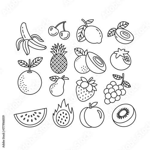 Diverse fruit collection black and white line art vector illustration scalable eps icon vector
