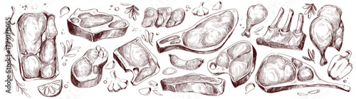 Hand drawn raw meat pieces on white background. Vector illustration of pork ribs, beef steak, chicken, sausage, rosemary, garlic, seasoning herbs, butchery shop products, restaurant menu, sketch art