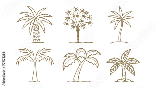 Tropical Palm Tree Collection: A collection of various hand-drawn palm trees, capturing the essence of tropical landscapes.