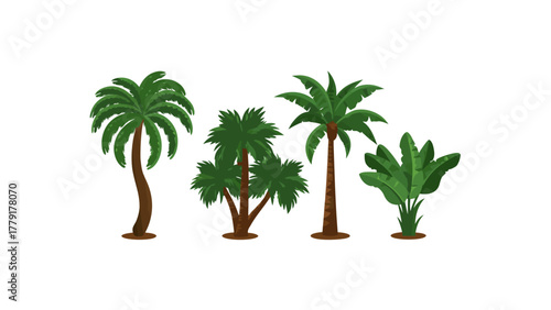 Tropical Flora: Four diverse and lush trees are artistically showcased. The artwork displays a variety of tropical foliage, showcasing the vibrant and flourishing plants.